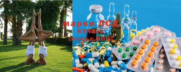 гашик Магас