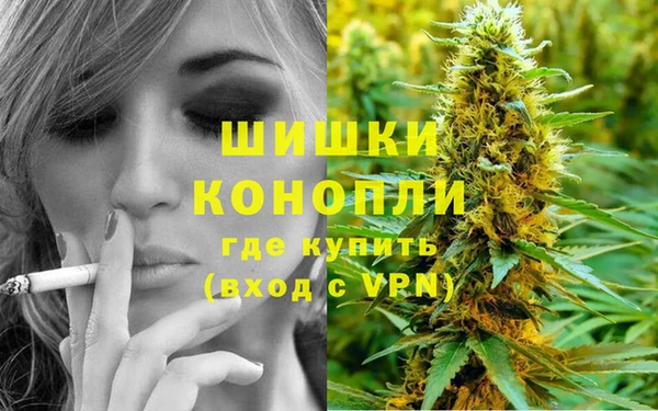 гашик Магас