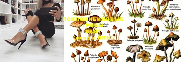 марки lsd Майский