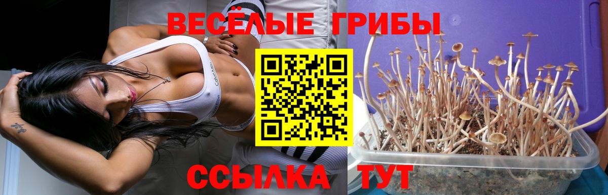 Псилоцибиновые грибы MAGIC MUSHROOMS Грозный